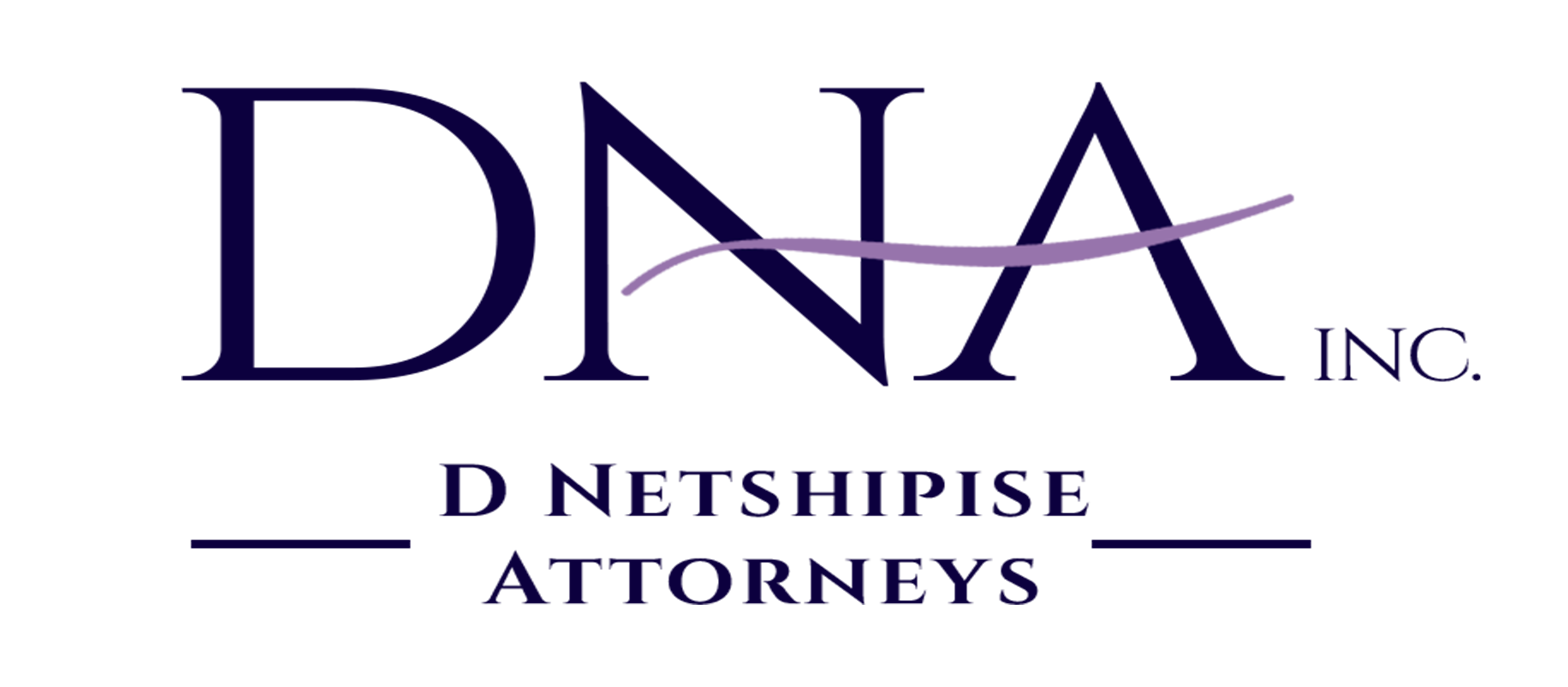 D Netshipise Attorneys